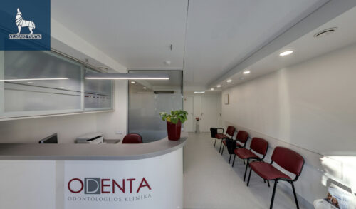 Patalpos  Panevėžio m., Ramygalos g.