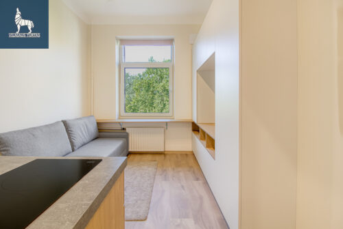 1 kambario butas  Naujamiestis, Švitrigailos g.