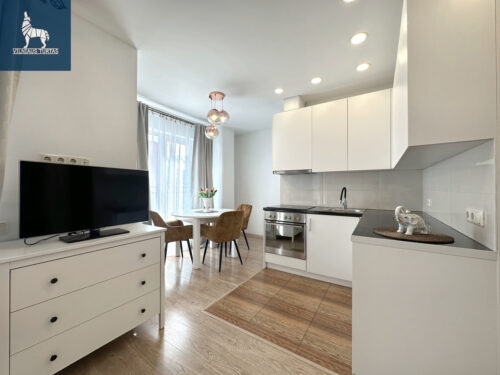 1 kambario butas  Pašilaičiai, Pavilnionių g.