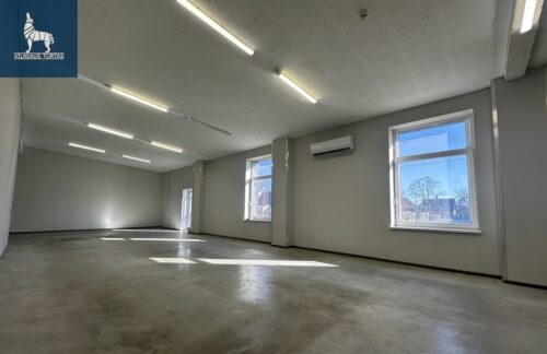 Patalpų nuoma Centras, S. Kerbedžio g.