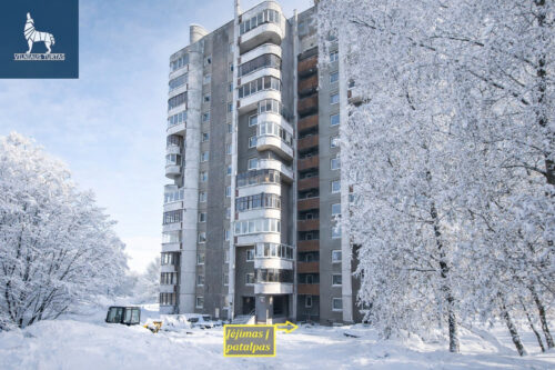 Patalpos  Šeškinė, Šeškinės g.