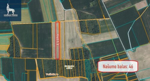 Žemės sklypas  Kiemėnų k.,