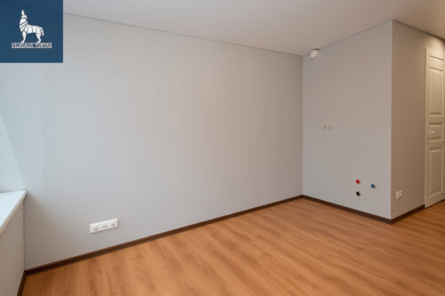 1 kambario butas  Šnipiškės, Rinktinės g.