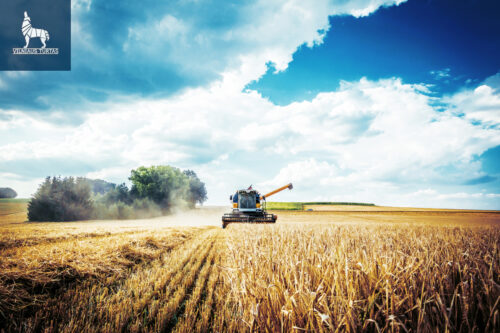 Žemės sklypas  Balsių k.,