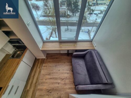 1 kambario buto nuoma Paneriai, Kirtimų g.