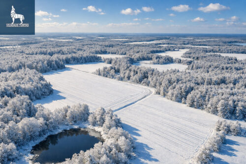 Žemės sklypas  Elektrėnų m., Žikaronių k.