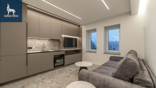 1 kambario butas  Bajorai, Paukščių Tako g.