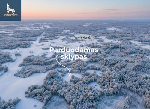 Žemės sklypas  Varniškių k.,