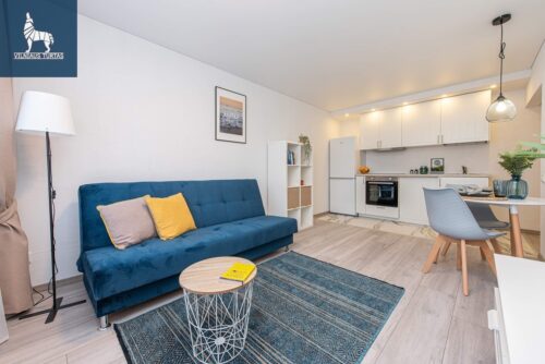 2 kambarių buto nuoma Žirmūnai, Žirmūnų g.