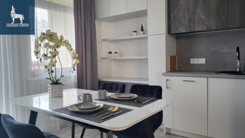 1 kambario butas  Justiniškės, Rygos g.