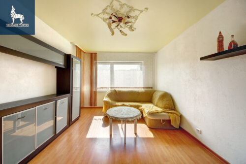 2 kambarių buto nuoma Šeškinė, Ukmergės g.