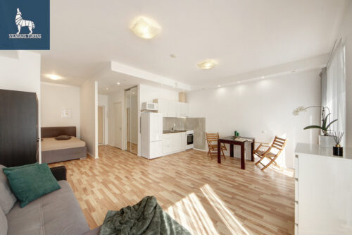 1 kambario butas  Pilaitė, Priegliaus g.