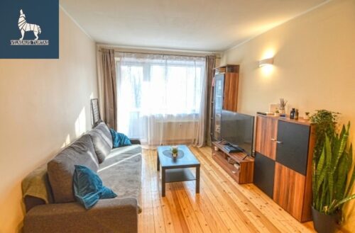 2 kambarių buto nuoma Žirmūnai, Žirmūnų g.