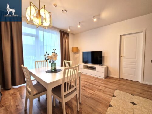 2 kambarių buto nuoma Šnipiškės, Giedraičių g.