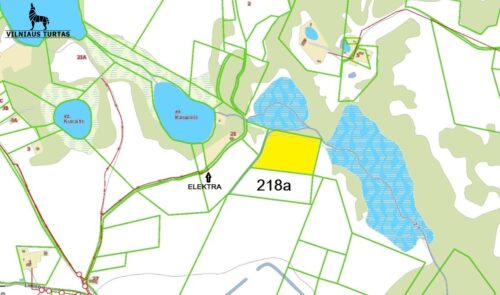 Žemės sklypas  Murališkių k., Limino g.