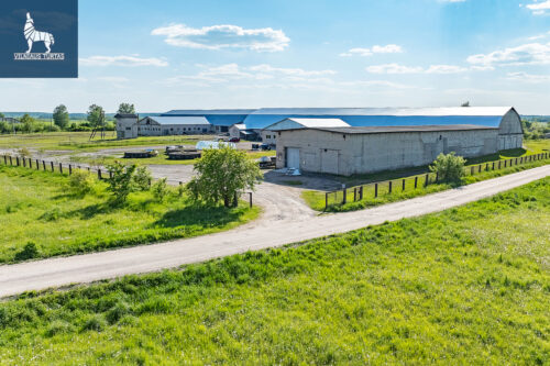 Patalpos  Kraujaleidžių k., Naujoji g.