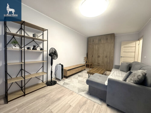 1 kambario buto nuoma Žirmūnai, Žirmūnų g.