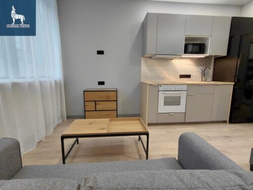 1 kambario buto nuoma Vilniaus m., Šeškinės g.