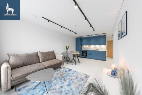 2 kambarių butas  Žirmūnai, Verkių g.