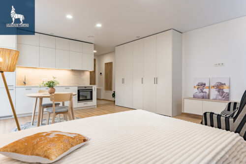 1 kambario buto nuoma Naujamiestis, Vytenio g.