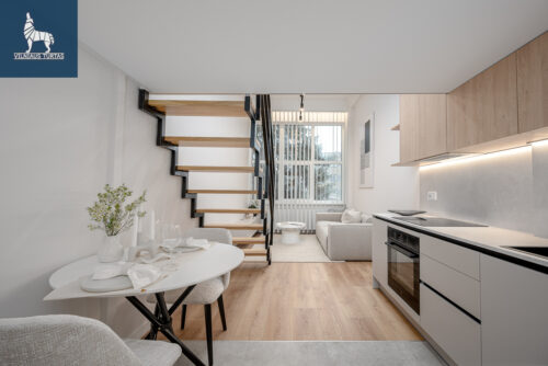 2 kambarių butas  Naujamiestis, Kauno g.