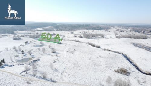 Žemės sklypas  Vaivadiškių k.,