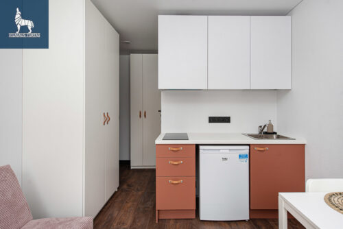 1 kambario buto nuoma Baltupiai, Didlaukio g.