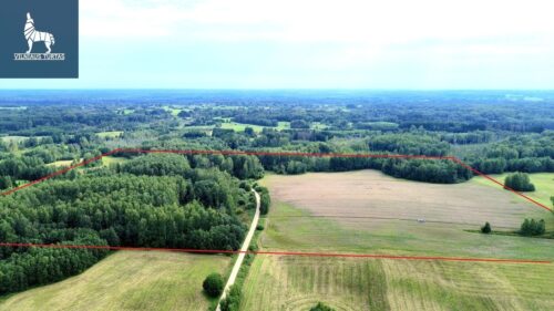 Žemės sklypas  Dubingių k.,