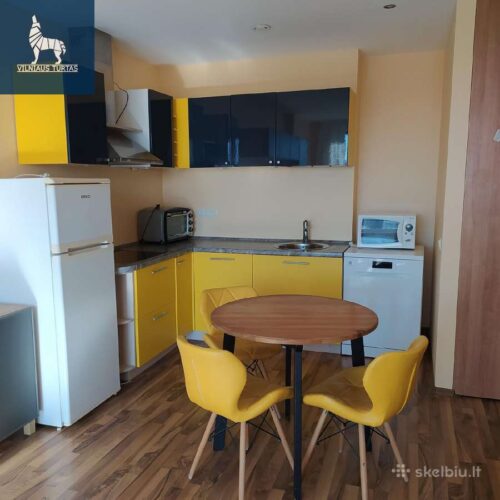 2 kambarių buto nuoma Pašilaičiai, Pavilnionių g.