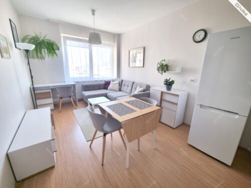 PARDUODAMAS NAUJOS STATYBOS 2 KAMBARIŲ BUTAS VĖTRUNGIŲ GATVĖJE FABIJONIŠKĖSE. BUTAS