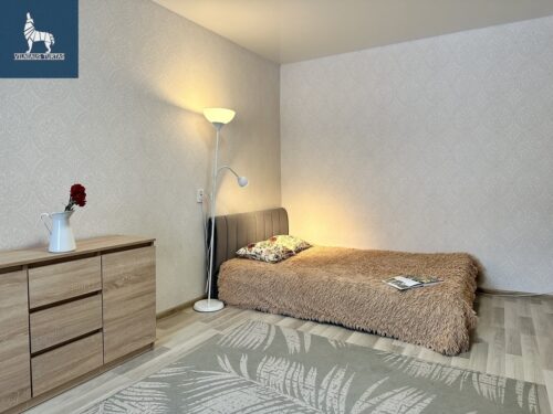 1 kambario buto nuoma Žemieji Paneriai, Vaduvos g.