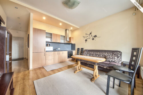 NUOMOJAMAS ERDVUS ĮRENGTAS BUTAS M. MAŽVYDO G.  2 KAMBARIŲ SU VISAIS BALDAIS IR VISA BUITINE