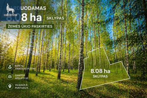Žemės sklypas  Puntuzų k.,