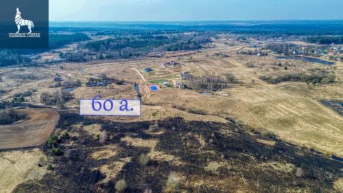 Žemės sklypas  Vaivadiškių k.,