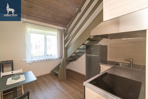 2 kambarių buto nuoma Pavilnys, Vandens g.