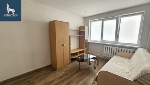 1 kambario buto nuoma Žirmūnai, Žirmūnų g.