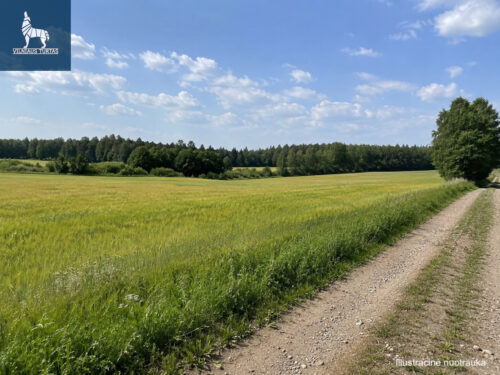 Žemės sklypas  Kudlų k.,