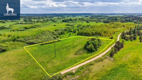 Žemės sklypas  Kaližų k.,