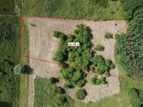 Parduodamas labai pigiai 36,98 a žemės sklypas