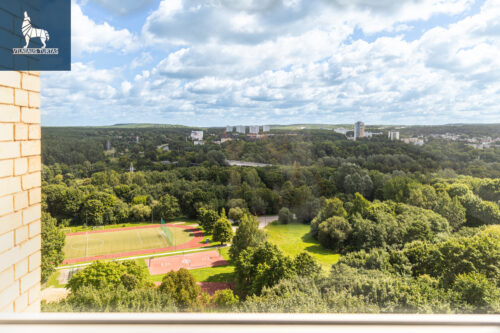 3 kambarių butas  Žirmūnai, Žirmūnų g.