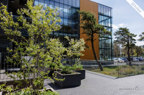 PRESTIŽINIAI APARTAMENTAI PROJEKTE „TIKROJI PALANGA“ – VAIZDAS Į BAŽNYČIĄ, KELIOS