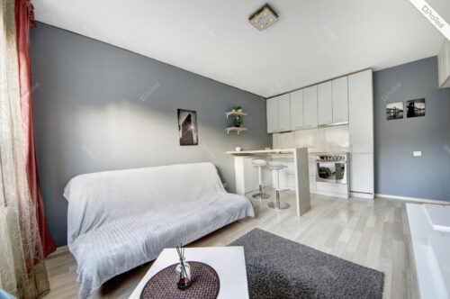 PUIKIAI SUREMONTUOTAS BUTAS NUOMAI ŽEMUOSIUOSE PANERIUOSE, 1 KAMBARIO, STUDIO TIPO, YRA